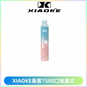 XIAOKE梟客7500Puffs跑馬燈拋棄式電子煙 可發光一次性